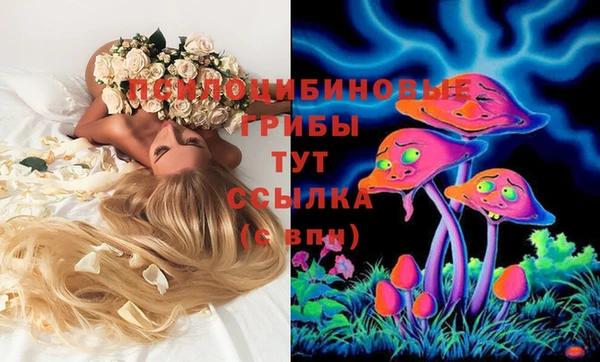 альфа пвп Абаза