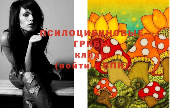 spice Абдулино
