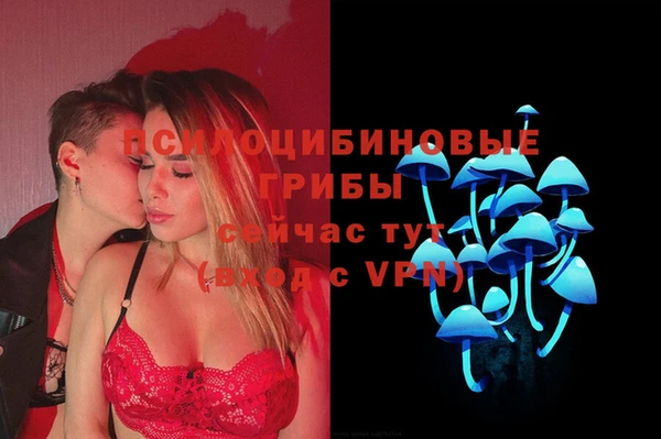 spice Абдулино