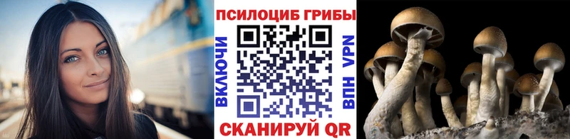 Псилоцибиновые грибы Cubensis Вилючинск